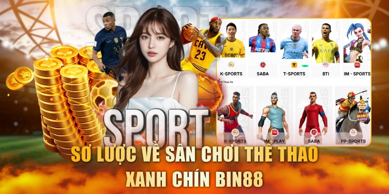 Sơ lược về sân chơi thể thao xanh chín Bin88