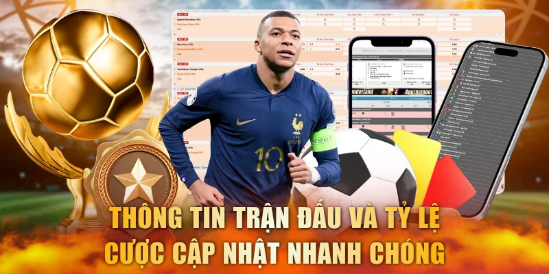 Thông tin trận đấu và tỷ lệ cược cập nhật nhanh chóng