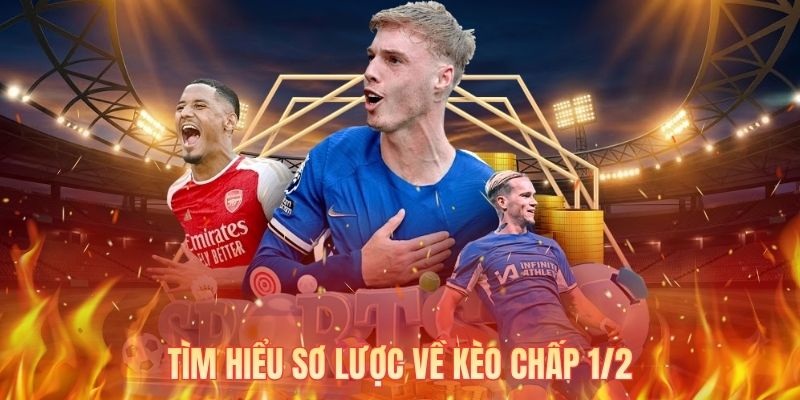 Tìm hiểu sơ lược về kèo chấp 1/2